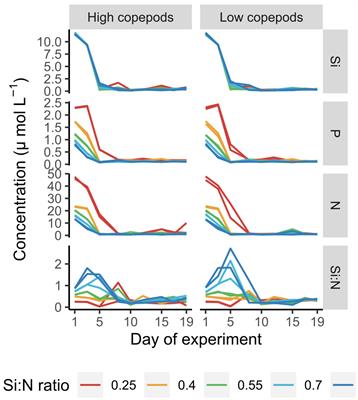 Nutrient enrichment alters phytoplankton biomass and composition via silicon limitation